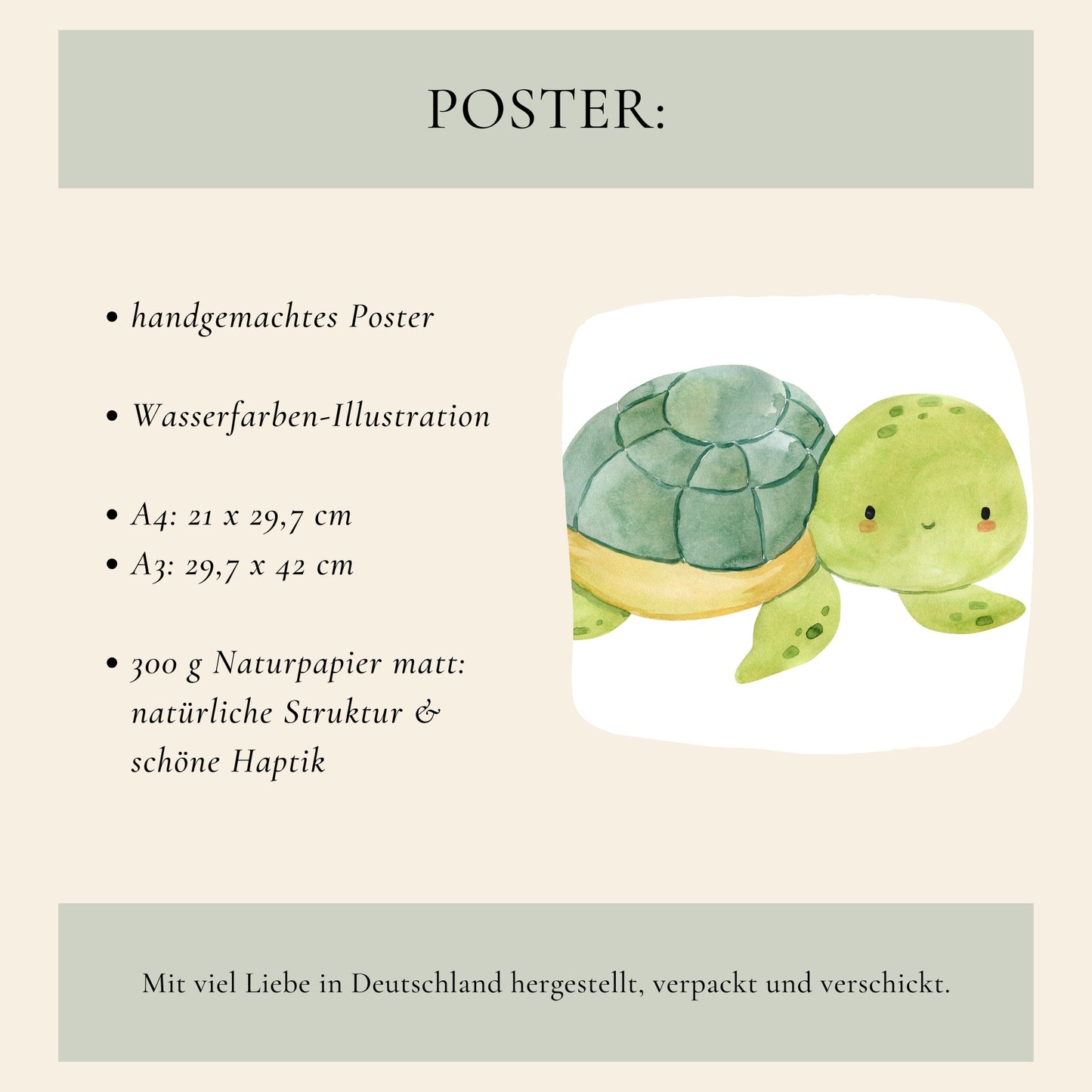 Unterwasser Schildkröte Poster