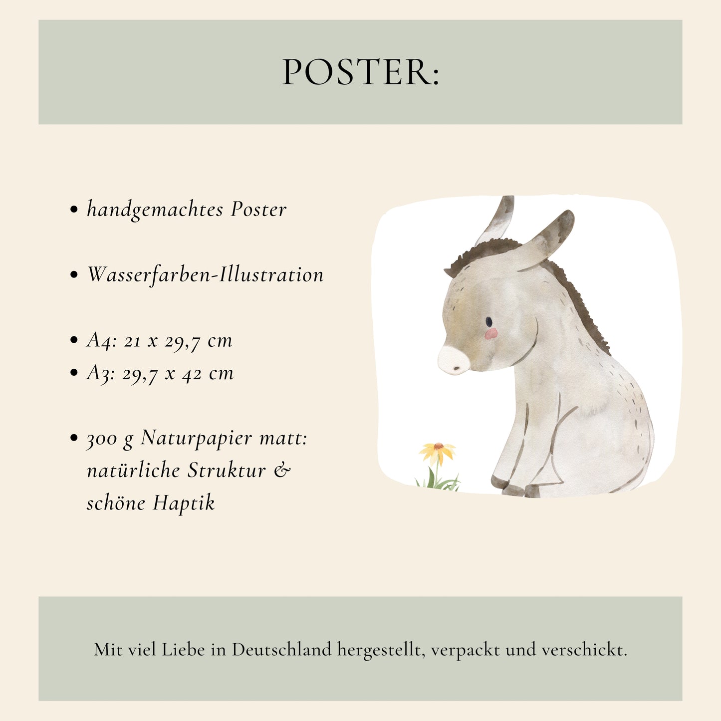 Esel Langohr Poster