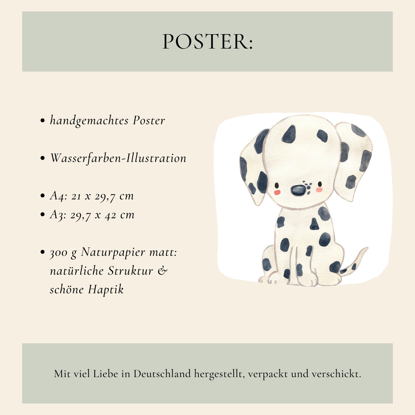 Dalmatiner Lotty Poster