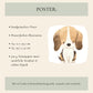 Beagle Henry Poster