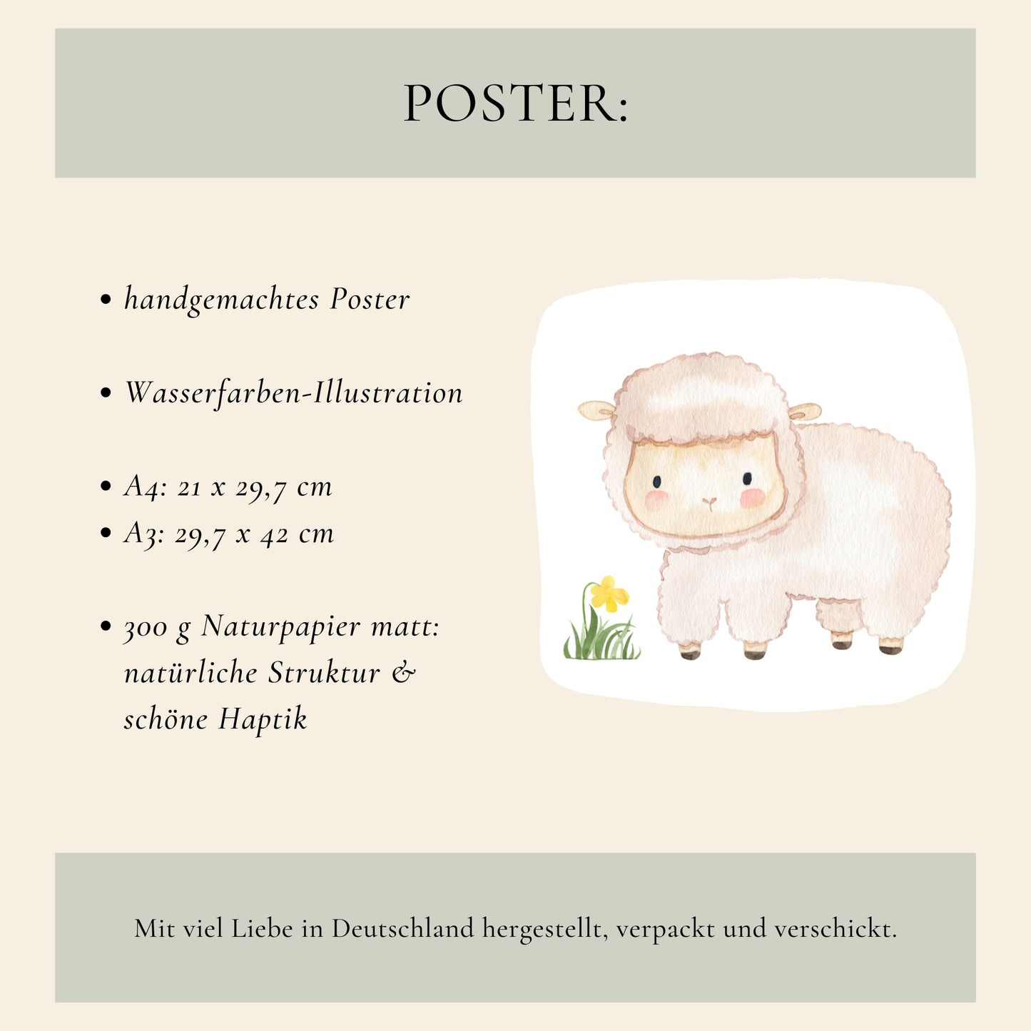 Schaf Wuschelwolle Poster