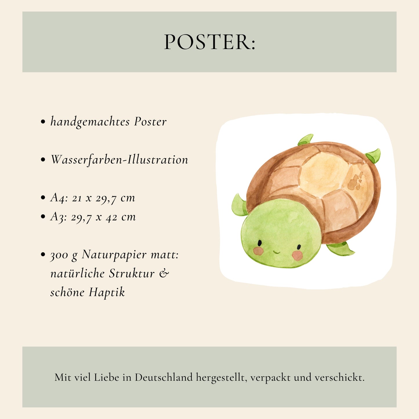 Ozean Schildkröte Poster