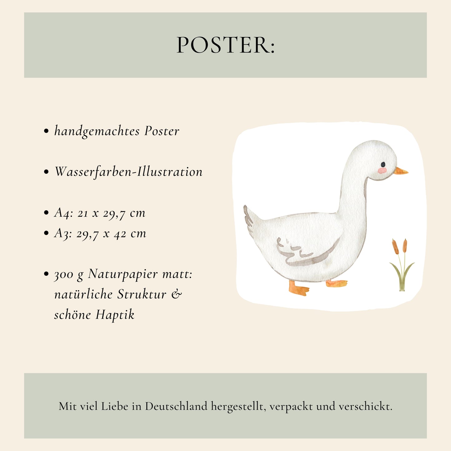 Gans Watschelfuß Poster