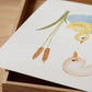 Poster Ententeich A4 & A3: Eine detaillierte Illustration einer Ente mit einem Entenküken, ideal als Kinderzimmerdekoration. Hochwertiger Druck auf 300g Naturpapier, erhältlich in zwei Größen. Nahaufnahme
