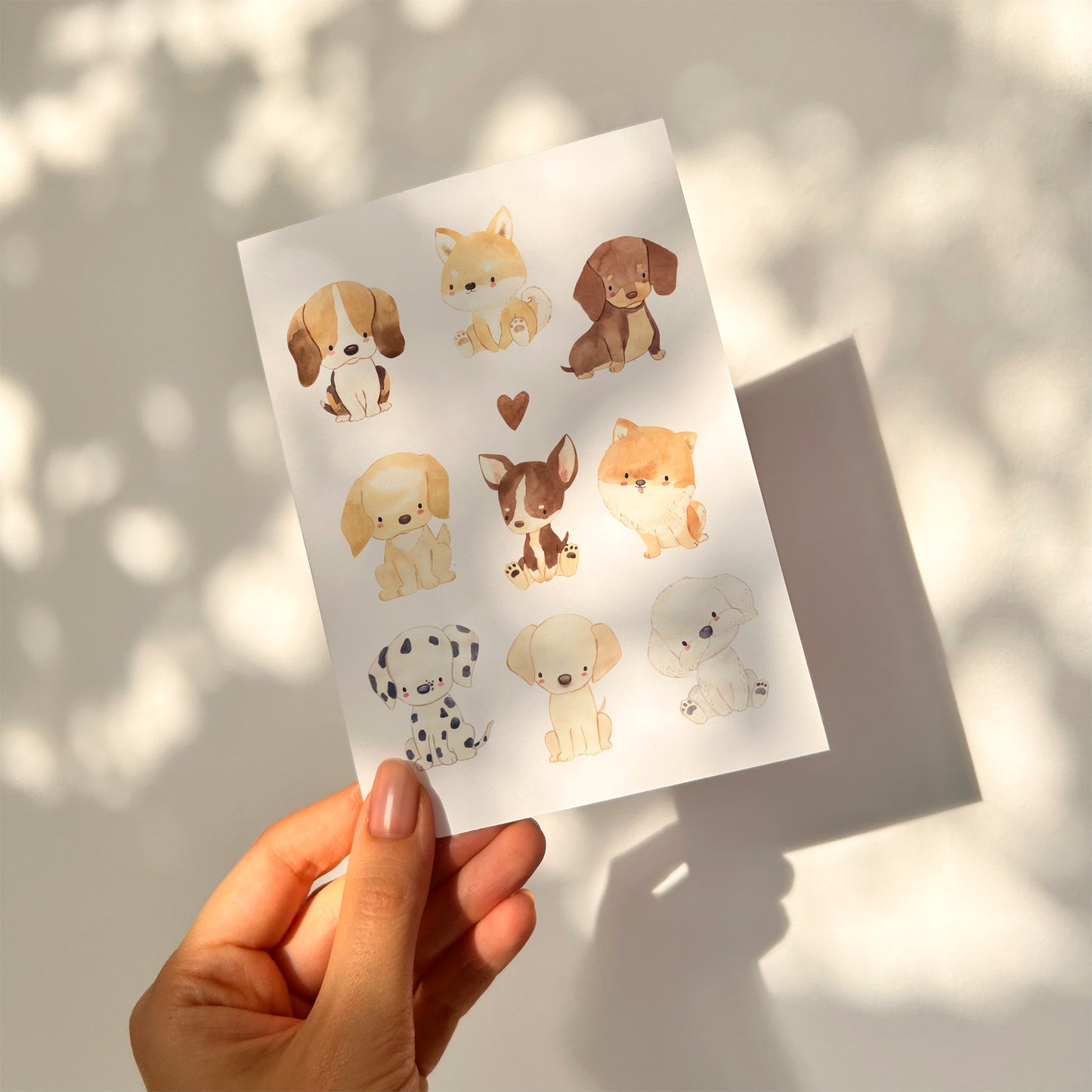 Karte Hunderassen – Labrador, Dackel & Pudel