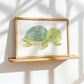 Unterwasser Schildkröte Poster
