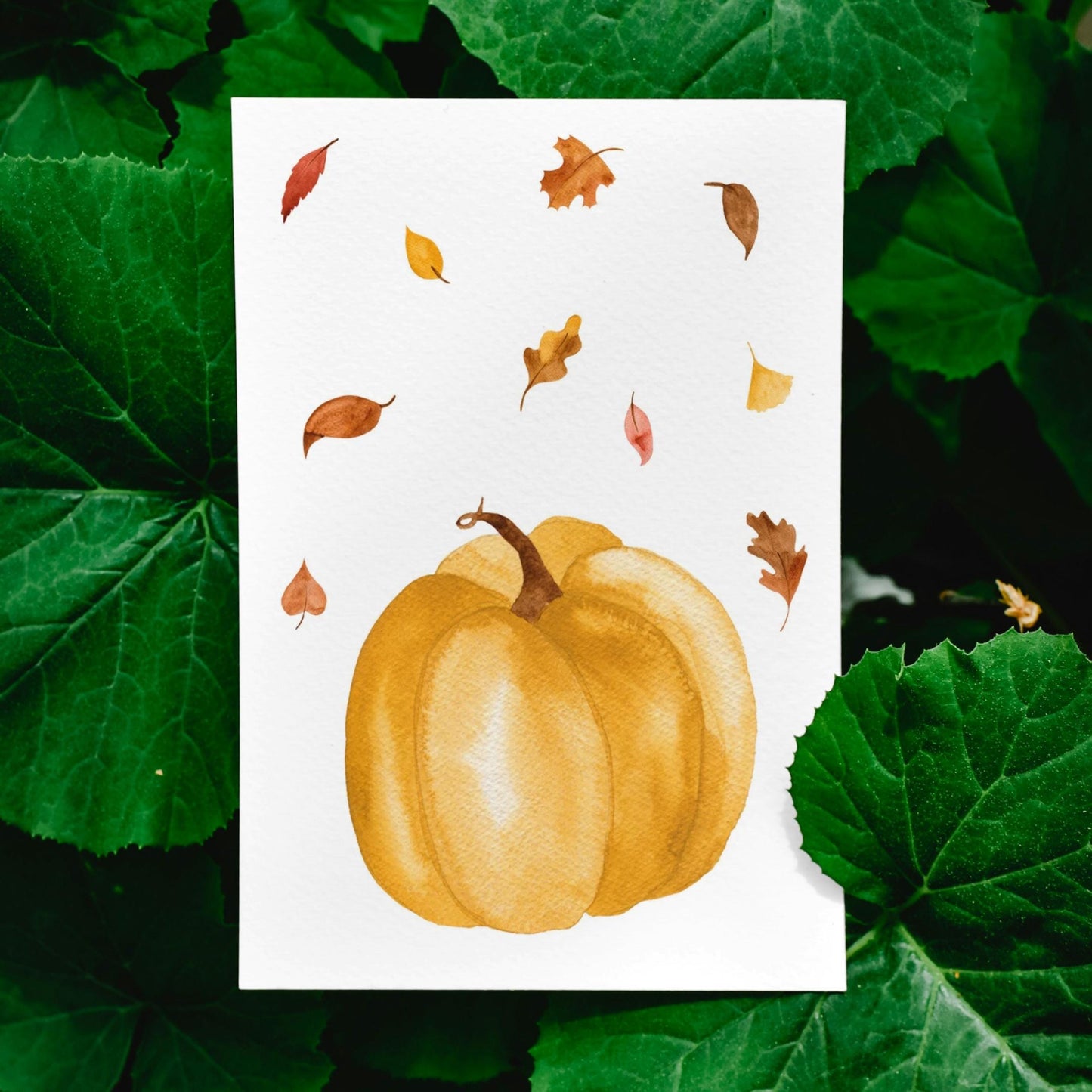 Postkarte mit Aquarell-Kürbis und Herbstlaub auf weißem Hintergrund, A6 Größe, gedruckt auf 300g mattem Naturpapier.