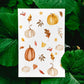 Postkarte, Aquarell-Kürbisse und Herbstlaub, auf hochwertigem Naturpapier gedruckt. Größe A6, perfekt für Herbstgrüße und Dekoration.