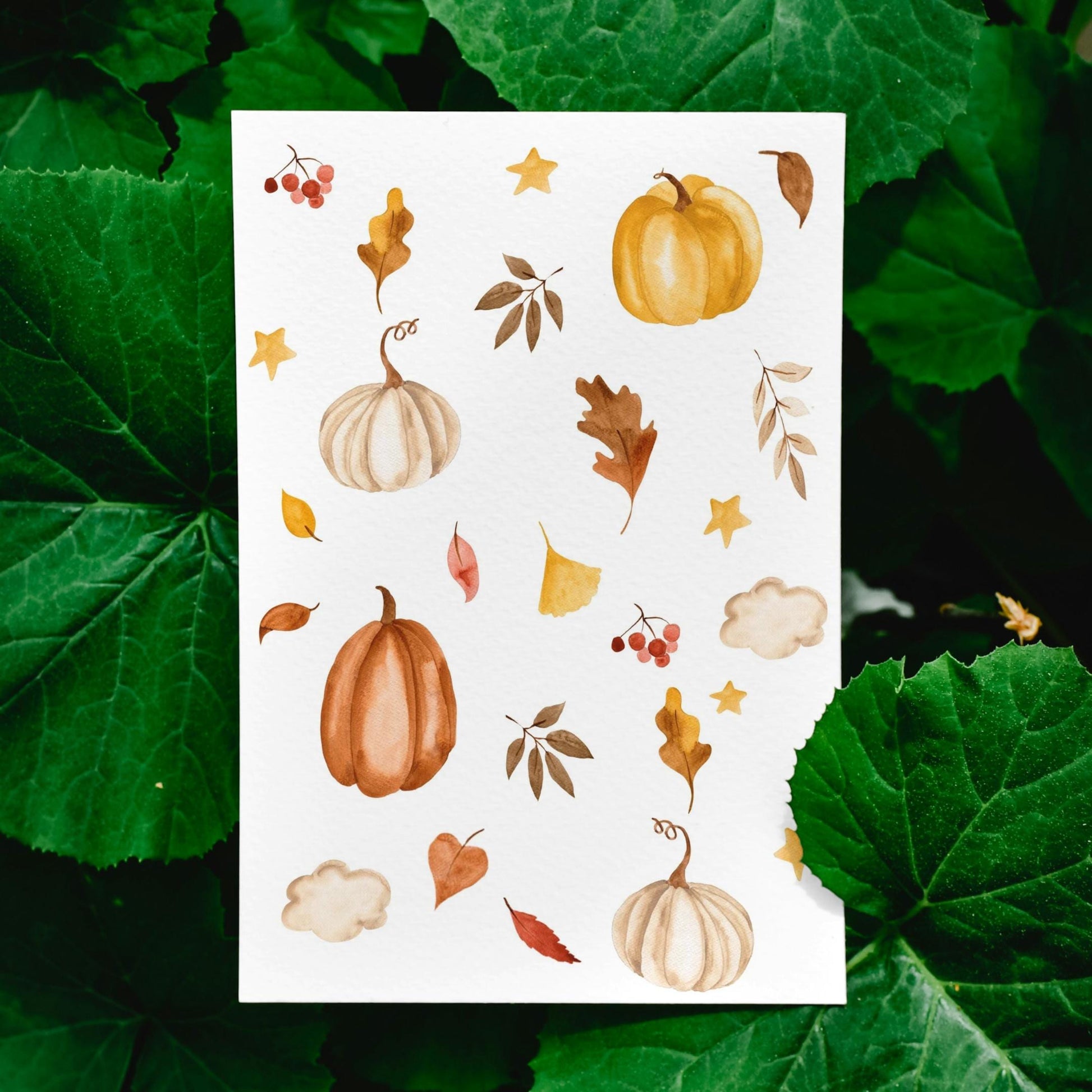 Postkarte, Aquarell-Kürbisse und Herbstlaub, auf hochwertigem Naturpapier gedruckt. Größe A6, perfekt für Herbstgrüße und Dekoration.