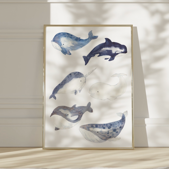Poster Wale A4 & A3: Sechs handgemalte Wale wie Beispiel. Orca, Narwal und Pottwal, ideal als beruhigende Kinderzimmerdeko, gedruckt auf hochwertigem, mattem 300g Naturpapier. Video